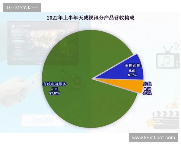 深入分析PA视讯集团在全球视讯行业中的竞争优势与未来发展方向